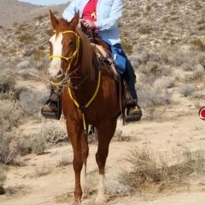 Meet your Posher, Valerie